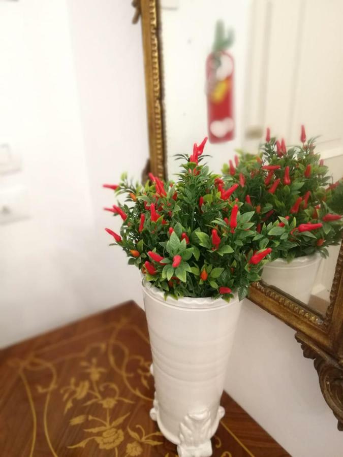 Dimora Modestina Apartment